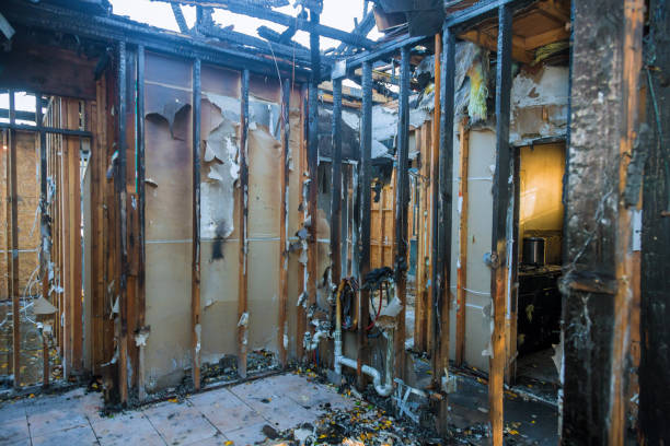 Professional Soot Cleanup technician working in Brusly, LA
